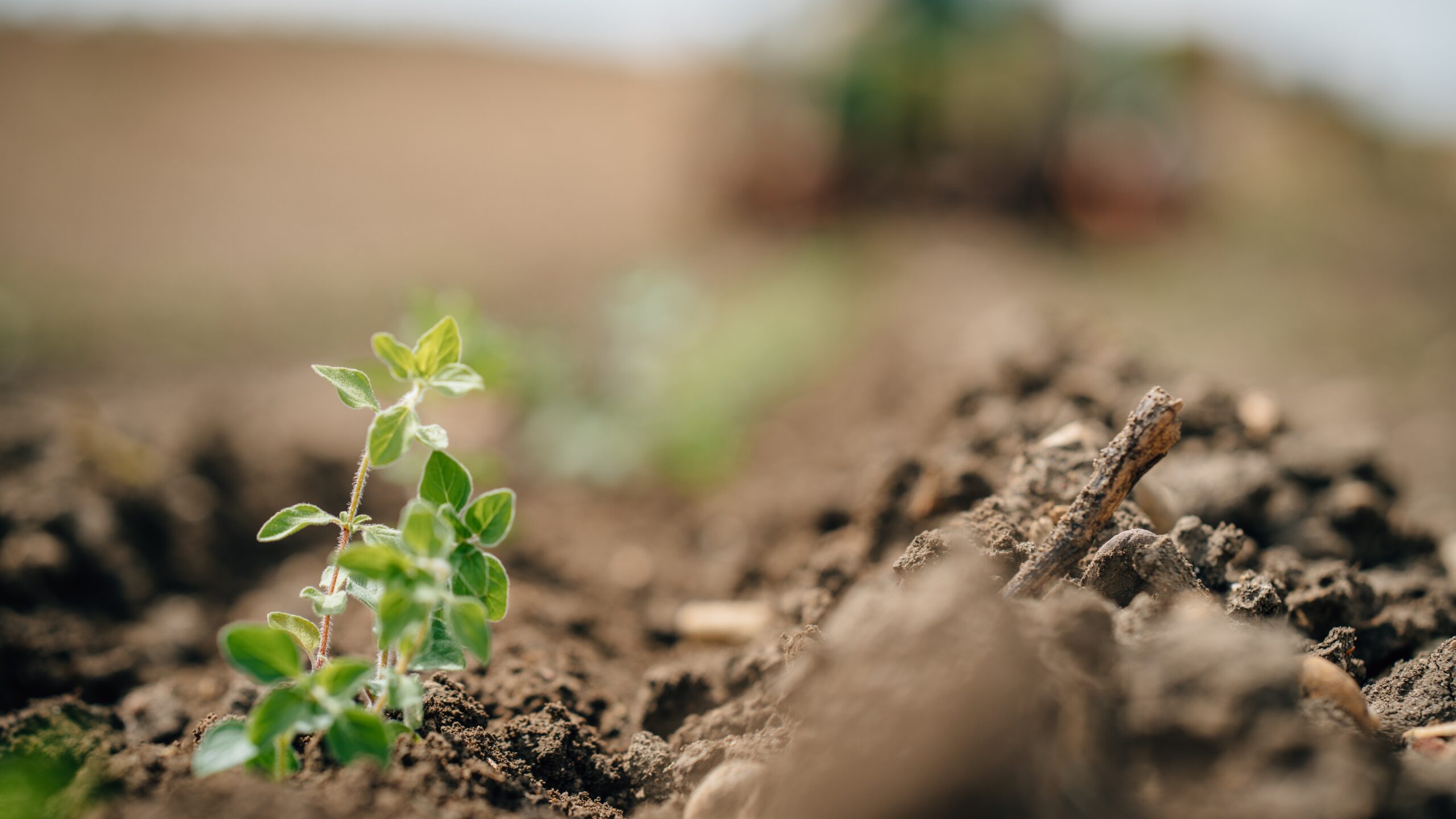 John Deere se alía con EIT Food|John Deere se alía con EIT Food